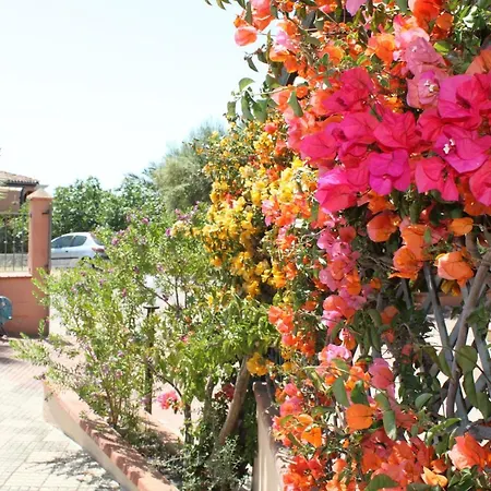 Le Terrazze Sul Mare 4* Àrbatax