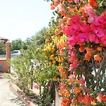 Le Terrazze Sul Mare 4* Àrbatax